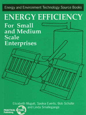 cover image of Energy Efficiency for Small and Medium Enterprises